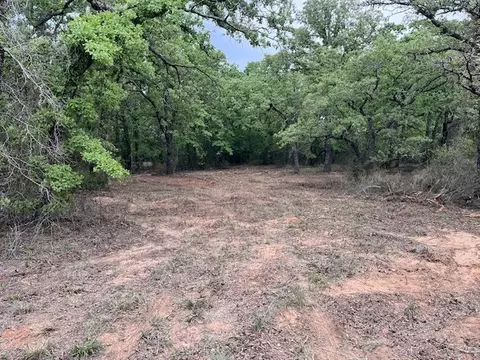 35 Ac Two Bush Rd, Perrin, TX 76486 photo 4