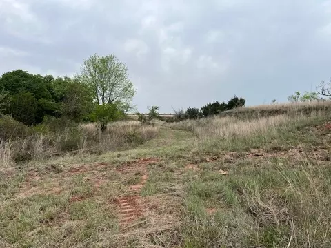 35 Ac Two Bush Rd, Perrin, TX 76486