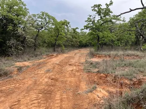 35 Ac Two Bush Rd, Perrin, TX 76486 photo 2