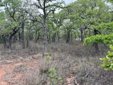 35 Ac Two Bush Rd, Perrin, TX 76486 photo 3