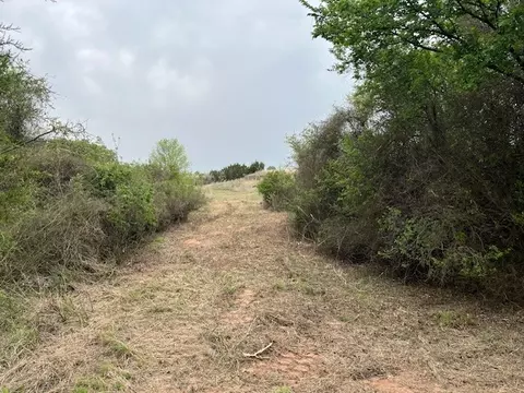 35 Ac Two Bush Rd, Perrin, TX 76486 photo 7