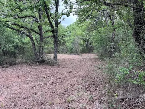 35 Ac Two Bush Rd, Perrin, TX 76486 photo 5