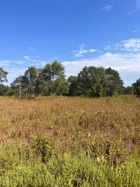 156 Doe, Nocona, TX 76255