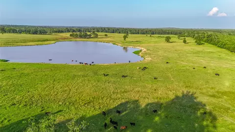 9759 Texas Highway 155 #RD, Avinger, TX 75630