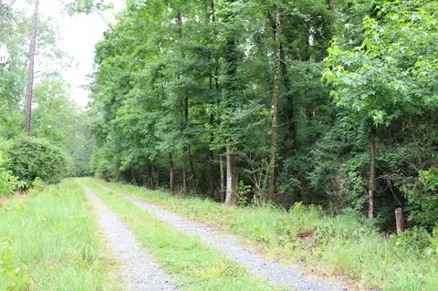 0 Burks Ln, Cotton Valley, LA 71018