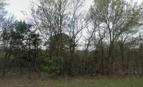 2946 Fm 2946, Emory, TX 75440