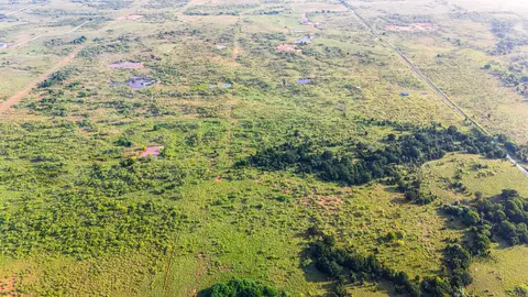 tbd Tract 4 2831 Ac Boren Rd, Ringgold, TX 76261
