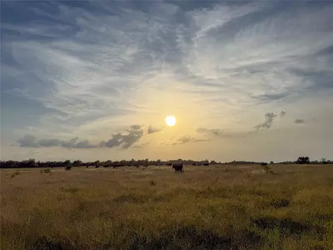 339 Fm, Kosse, TX 76653 photo 19