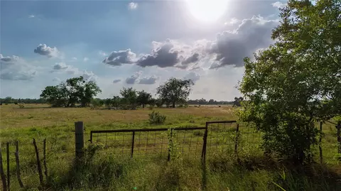 339 Fm, Kosse, TX 76653 photo 6