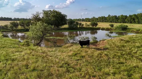 339 Fm, Kosse, TX 76653 photo 17