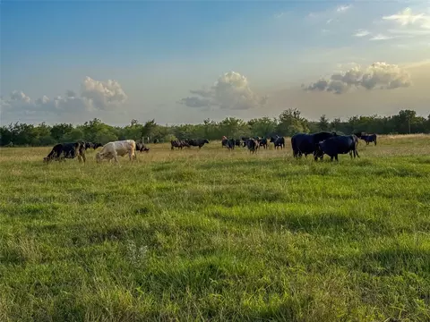 339 Fm, Kosse, TX 76653 photo 21