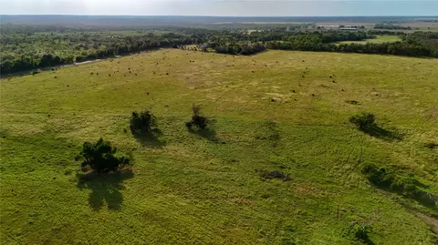 339 Fm, Kosse, TX 76653 photo 29