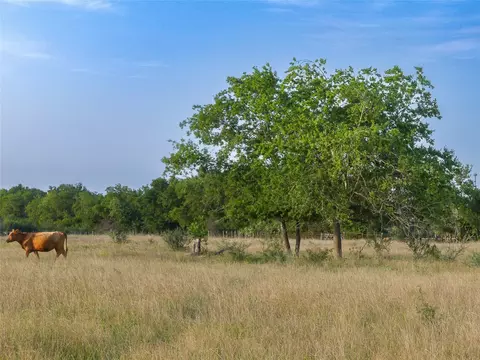 339 Fm, Kosse, TX 76653 photo 12