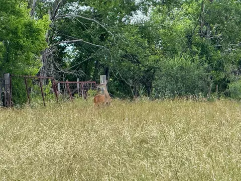 339 Fm, Kosse, TX 76653 photo 18