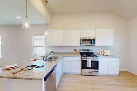 14159 Marion Downs Trl, Pilot Point, TX 76258 photo 3
