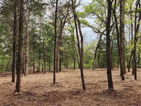 lot465 Cr-4710, Larue, TX 75770