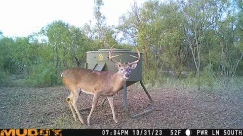 tbd Fm 540, No City, TX 79520