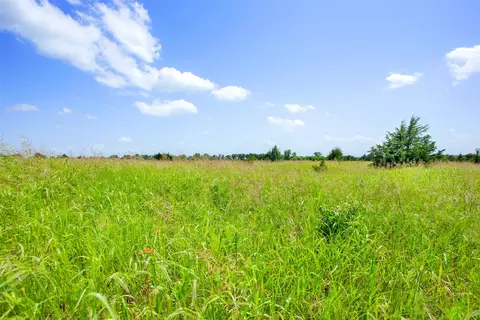 491 Morrison Rd, Howe, TX 75459 photo 5
