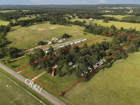 1970 An County Road 421, Palestine, TX 75803