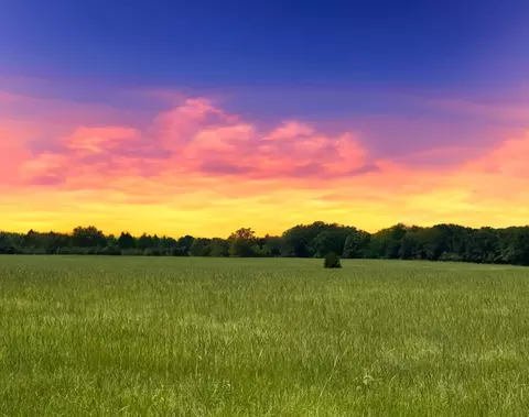 12675 County Road 2922, Eustace, TX 75124