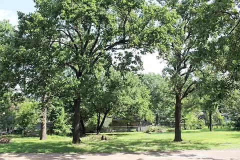 00 Wildgrove Dr, Gun Barrel City, TX 75156