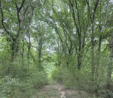 32 Acres County Road 2324, Como, TX 75431