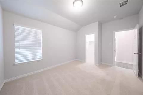 3029 Burwick Ln, Anna, TX 75409 photo 22