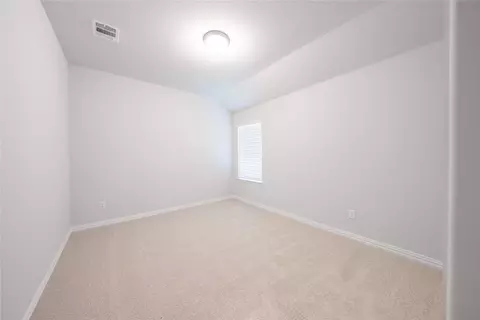 3029 Burwick Ln, Anna, TX 75409 photo 21