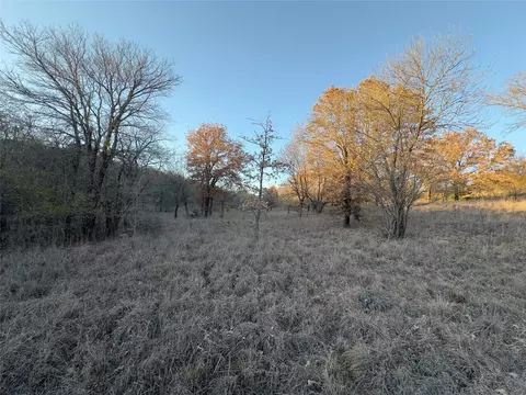 lot283 Cozy Cove Ct, Chico, TX 76431
