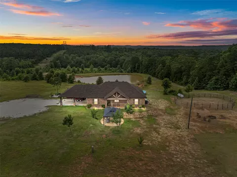 480 Clowers Rd, Diana, TX 75640