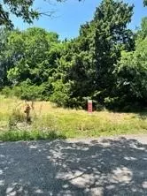 tbd Cr-446, Princeton, TX 75407