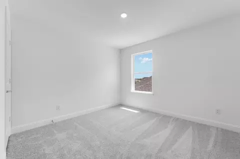 121 Tornillo Dr, Celina, TX 75009 photo 18