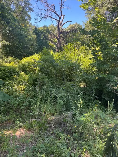 0 Ponderosa Dr, Eustace, TX 75124