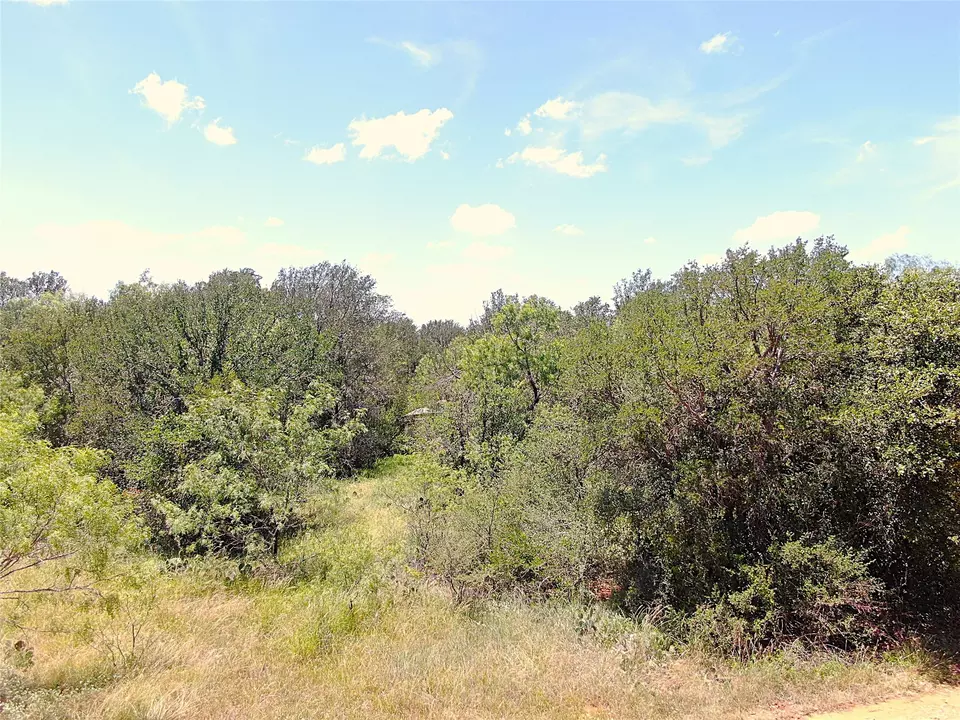  1921 Fm 2126, Early, TX 76802 photo 2