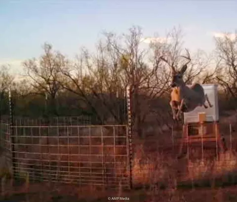 T B D Fm 600, Haskell, TX 79521 photo 3