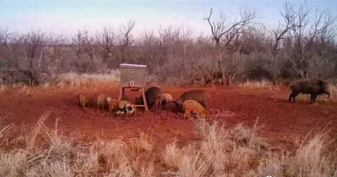 T B D Fm 600, Haskell, TX 79521 photo 4