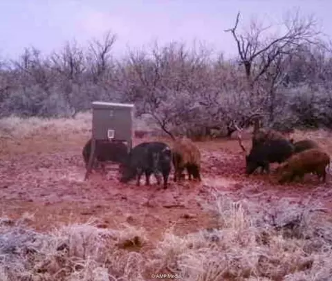 T B D Fm 600, Haskell, TX 79521 photo 2