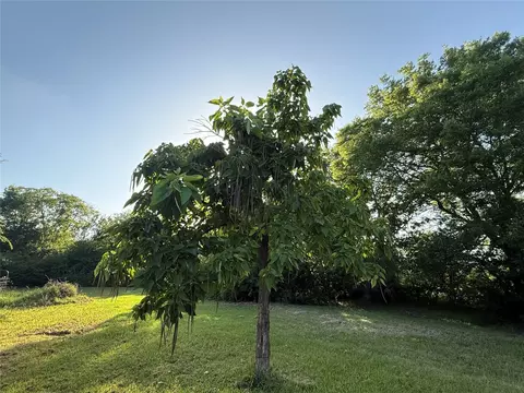 Exterior - 877 Farm Road 900 N, Saltillo, TX 75478 photo 6 of 11