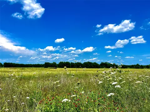 lot7 Cr-590, Nevada, TX 75173