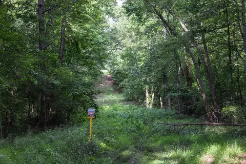 00 Lemon Rd, Gilmer, TX 75644 photo 7