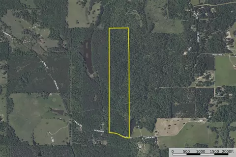 00 Lemon Rd, Gilmer, TX 75644 photo 22