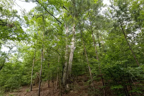 00 Lemon Rd, Gilmer, TX 75644 photo 11