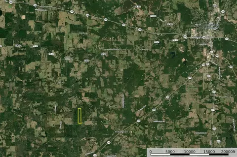 00 Lemon Rd, Gilmer, TX 75644 photo 24