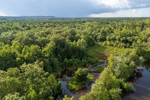 00 Lemon Rd, Gilmer, TX 75644