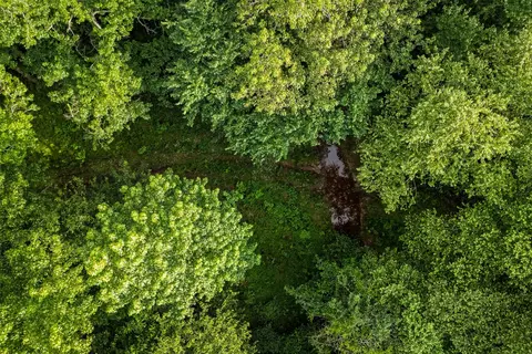 00 Lemon Rd, Gilmer, TX 75644 photo 8