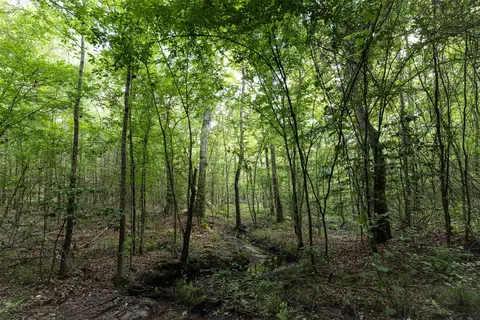 00 Lemon Rd, Gilmer, TX 75644 photo 9
