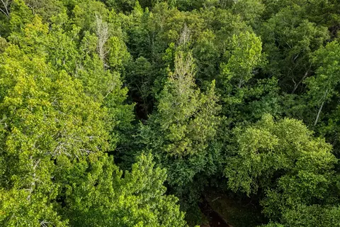 00 Lemon Rd, Gilmer, TX 75644 photo 19