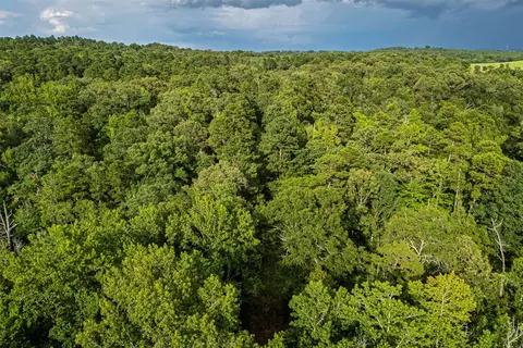 00 Lemon Rd, Gilmer, TX 75644 photo 6