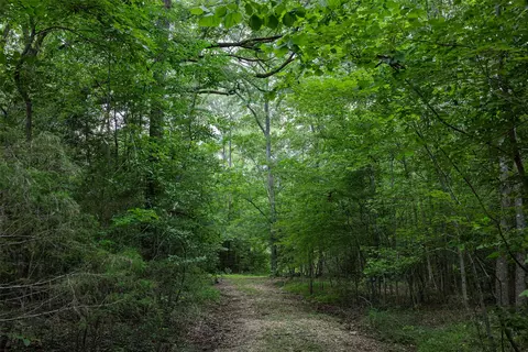 00 Lemon Rd, Gilmer, TX 75644 photo 16