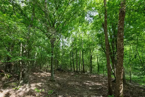 00 Lemon Rd, Gilmer, TX 75644 photo 13